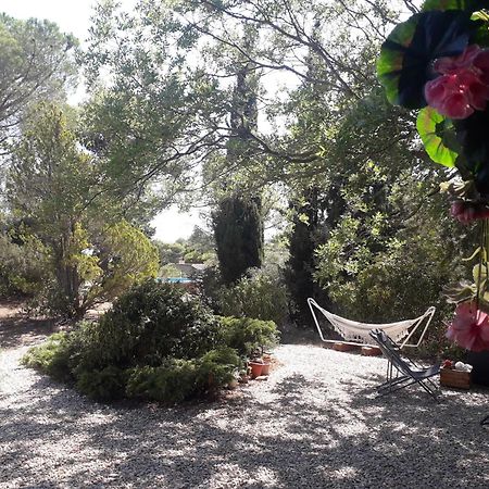 Fabrezan Chalet Les Cigalines Au Calme מראה חיצוני תמונה